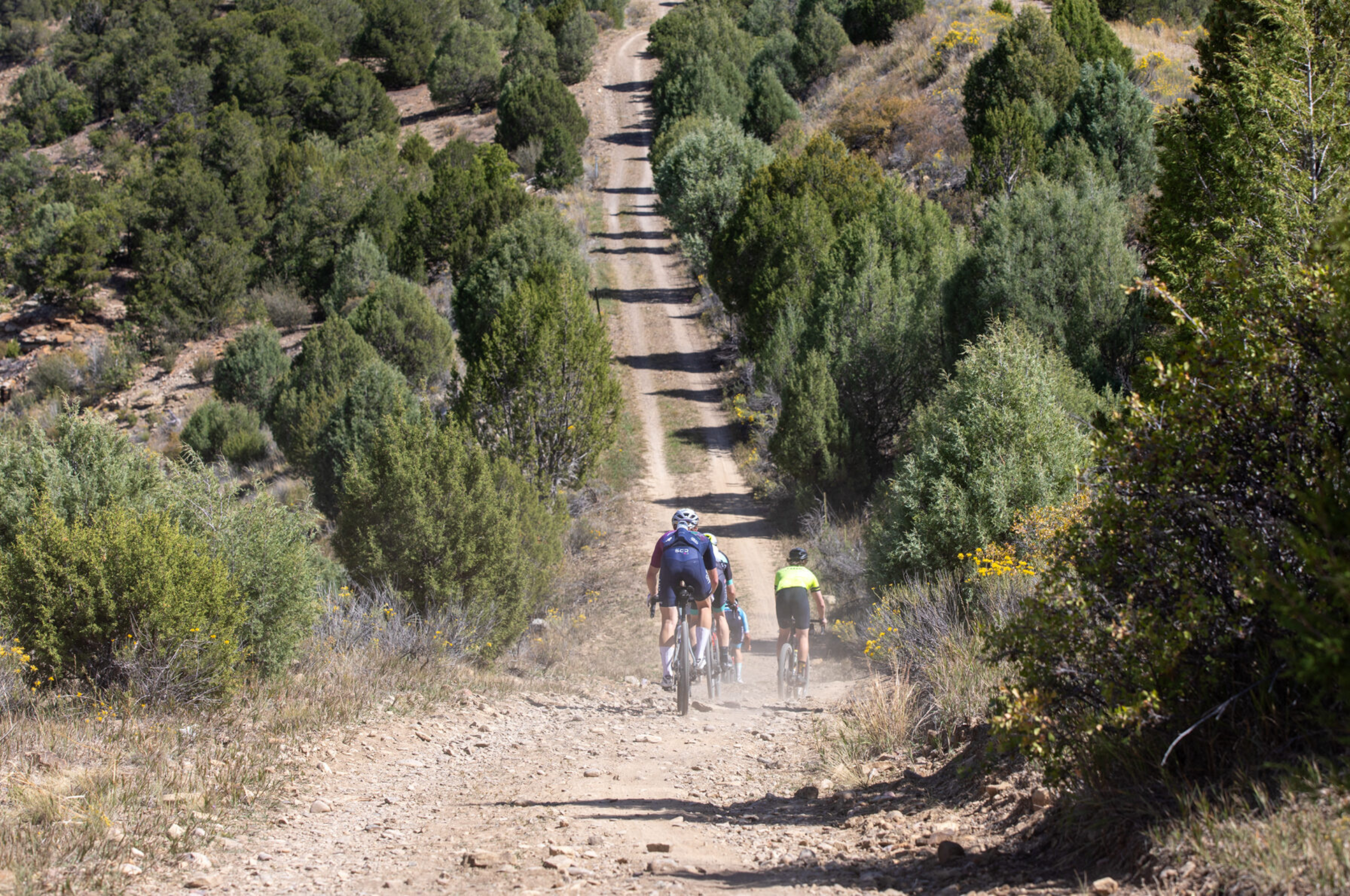 Website Banner - Large